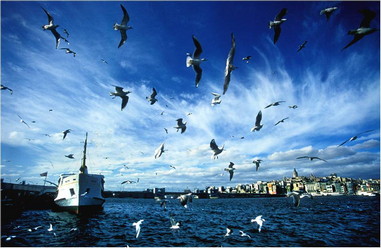 Istanbul