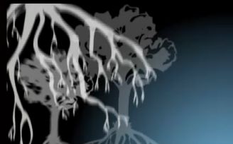 roots_of_pathology