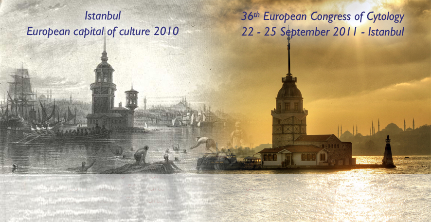 2011 EFCS Istanbul Congress