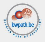 BelgianWeek_logo1