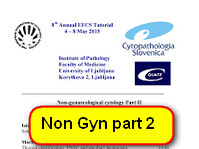 Tutorial handouts non gynecolocic cytology part 2